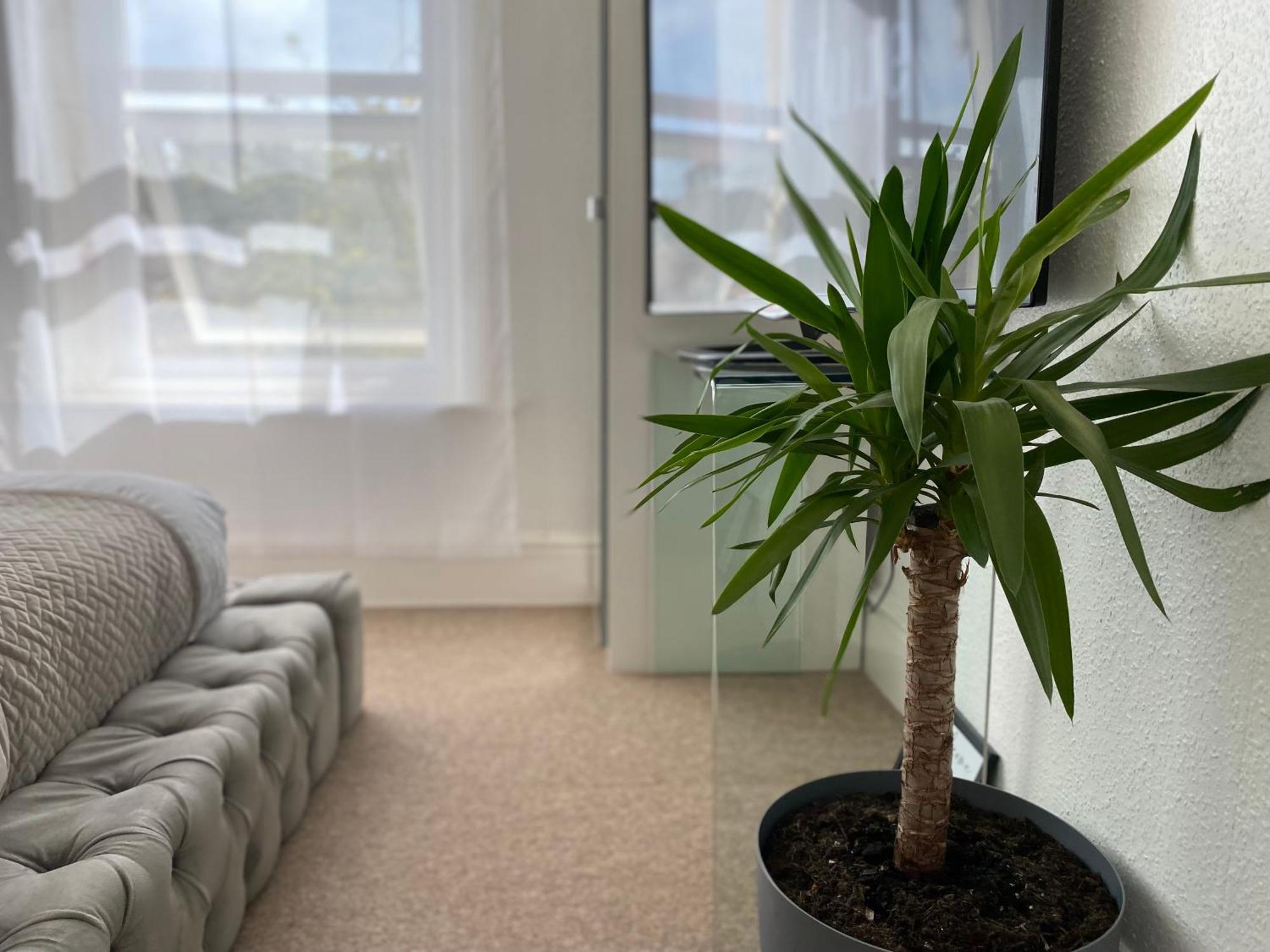 Seaside 5 Min From Ensuite Parking Проживание в семье *